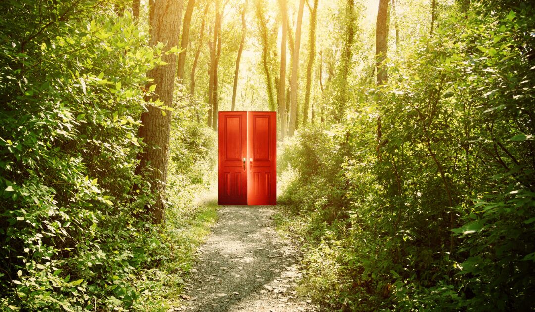 red door in the forrest
