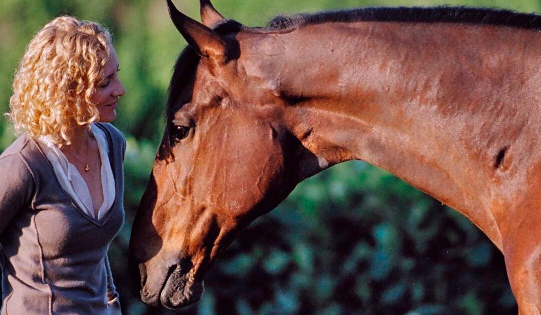 horse and woman healing through connection